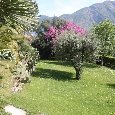 Mezzegra Appartement